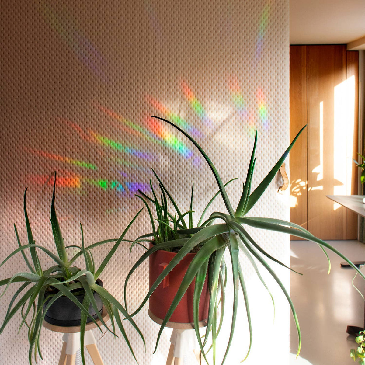 Rainbow Maker Window Stickers