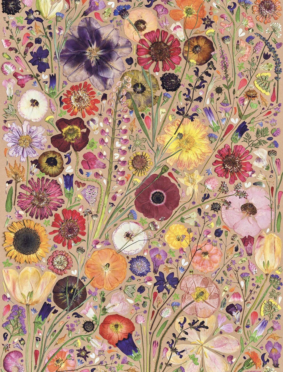 Beautiful Blooms Wrapping Paper Book